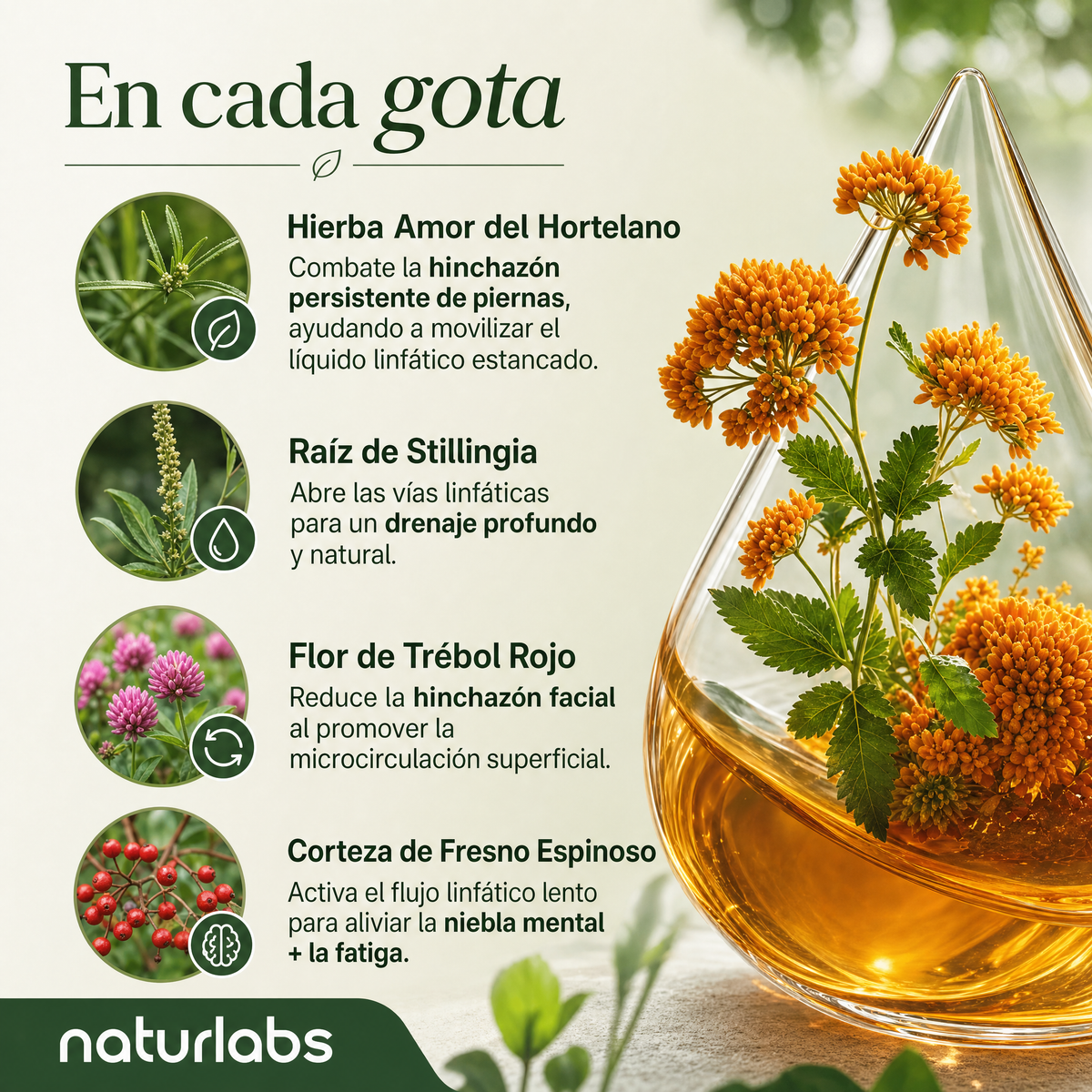 Drenaje Linfático Naturlabs™